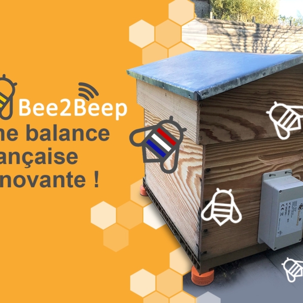 Bee2Beep, notre savoir-faire dans les nouvelles technologies