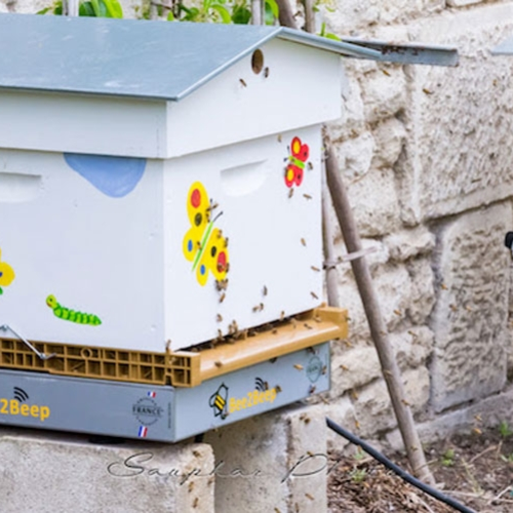 Bee2Beep : un enjeu pour la RSE