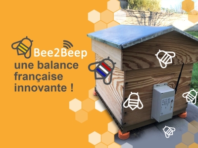 Bee2Beep, notre savoir-faire dans les nouvelles technologies